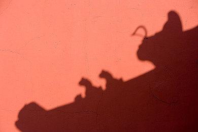 小女孩最爱《彩虹小马：玛泰湾冒险》5月发售